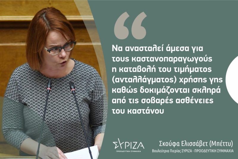 Ε. Σκούφα: «Να ανασταλεί άμεσα για τους καστανοπαραγωγούς η καταβολή του τιμήματος (ανταλλάγματος) χρήσης γης