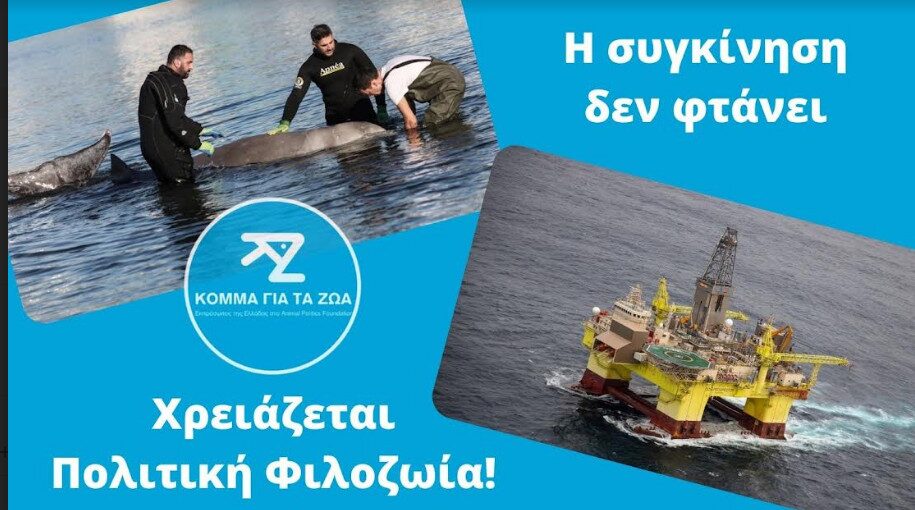 Αλέξανδρος Φραντζής για το κητώδες που εξόκειλε στον Άλιμο