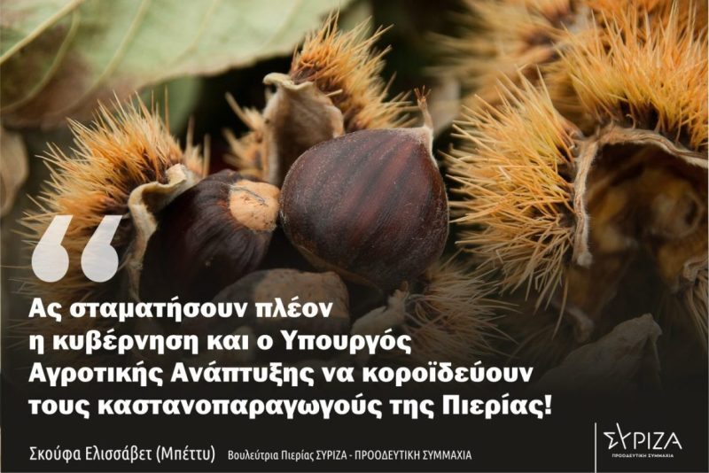 “Παζάρια” στις πλάτες των καστανοπαραγωγών της Πιερίας δεν θα γίνουν ανεκτά!