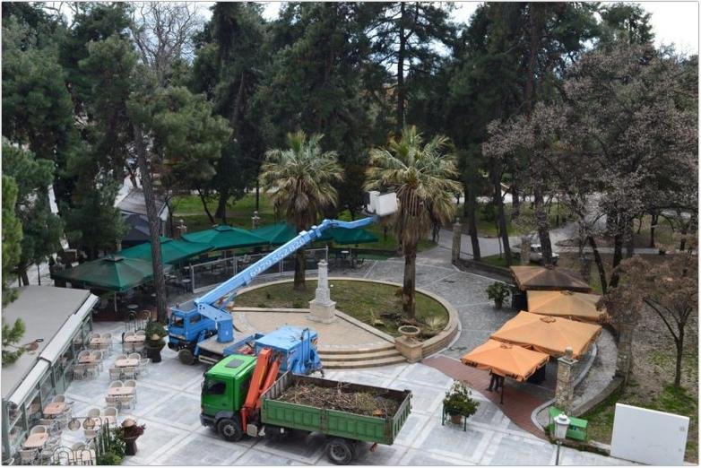 Αειφορική διαχείριση υψηλών δένδρων