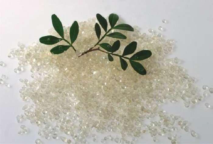 Μαστίχα Χίου: Δρα αποτελεσματικά κατά του ελικοβακτηριδίου του πυλωρού