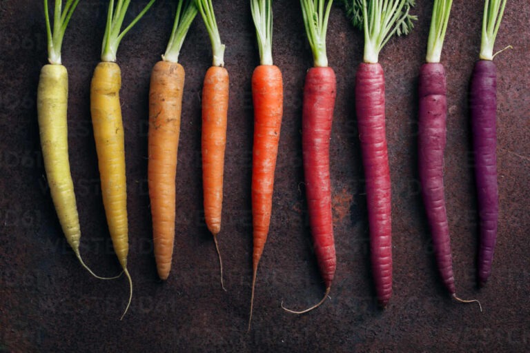 Colorful Yellow Orange And Purple Carrots Adsf06098