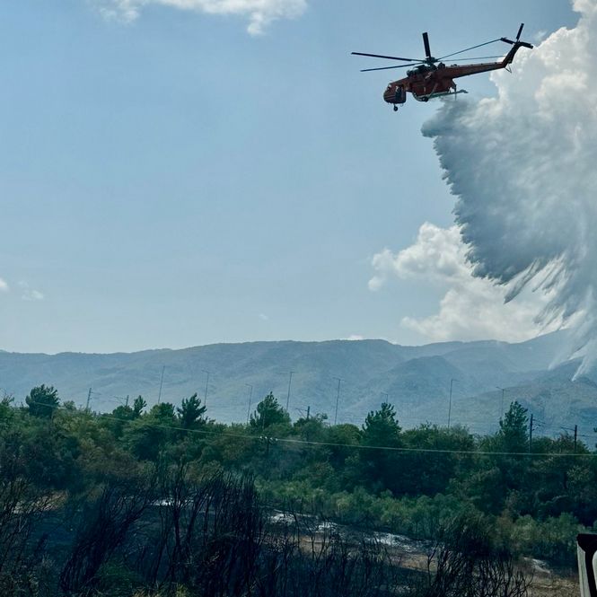 Εικόνα Viber 2024 08 18 14 38 29 798 Αντιγραφή